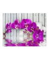 Fototapetas  Violet orchids with water reflexion