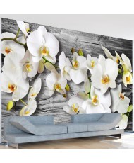 Fototapetai - Kuklios orchidėjos III