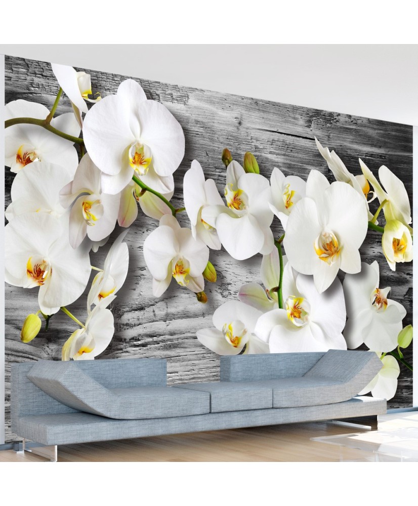 Fototapetas  Callous orchids III