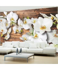 Fototapetai - Miško orchidėja