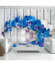 Fototapetai - Kobalto orchidėjos