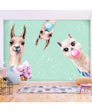 Lipnus fototapetas - Crazy Llamas