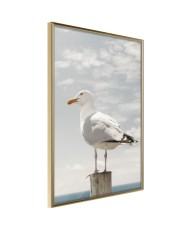 Plakatas  Curious Seagull