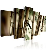 Paveikslas - Azijos bambukų miškas