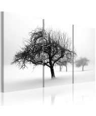 Paveikslas - Baltame fone panirę medžiai