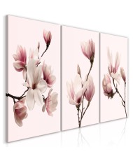 Paveikslas - Spring Magnolias (3 Parts)