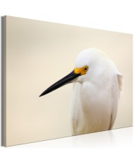 Paveikslas - Snowy Egret (1 Part) Wide