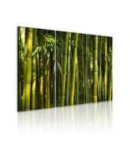 Paveikslas - Žalias bambukas