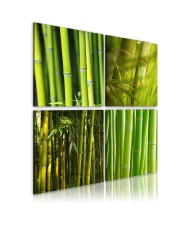Paveikslas - Bambukai