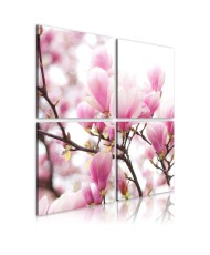 Paveikslas - Blooming magnolia tree