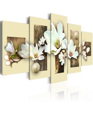 Paveikslas - Tekstūra ir magnolija