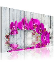 Paveikslas - Harmonija: orchidėja – triptikas