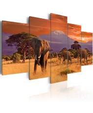Paveikslas - Afrika: drambliai