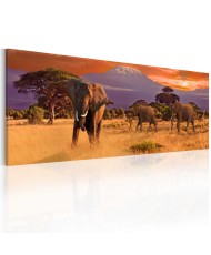 Paveikslas - Afrikos dramblių maršas
