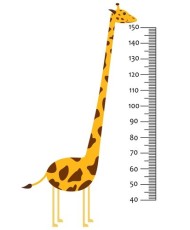 Ūgio matuoklė Žirafa