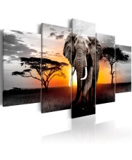Paveikslas - Elephant at Sunset