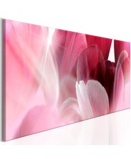 Paveikslas - Flowers: Pink Tulips