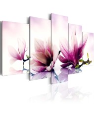 Paveikslas - Pink flowers: magnolias
