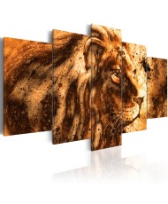 Paveikslas - Beautiful Lion