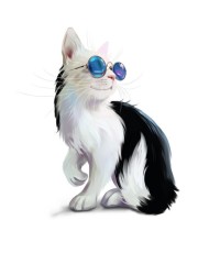 Interjero lipdukas Katinas su akiniais 50x57cm