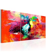 Paveikslas - Colourful Toucan