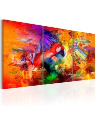 Paveikslas - Colourful Parrot