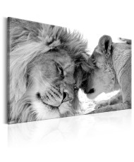 Paveikslas - Lion's Love