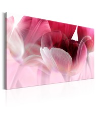 Paveikslas - Nature: Pink Tulips