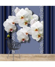 Fototapetai - Orchidėjos mėlyname fone