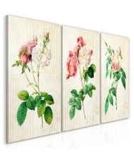 Paveikslas - Floral Trio (Collection)