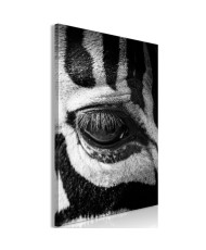 Paveikslas - Zebra Eye (1 Part) Vertical