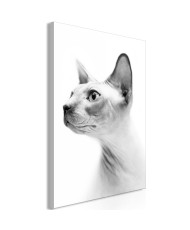 Paveikslas - Hairless Cat (1 Part) Vertical