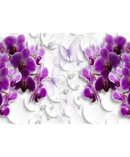 Fototapetai - Orchidėjos ant šilko