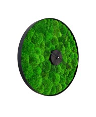 Sieninis laikrodis - Samanų miškas, žalia sp., 50 cm
