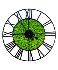 Sieninis laikrodis - Samanos Loftas, šv. žalia sp., 80 cm