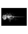 Fototapetas  rose (smoke)