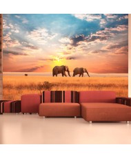 Fototapetai - Afrikietiški savanos drambliai
