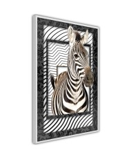Plakatas - Zebra in the Frame