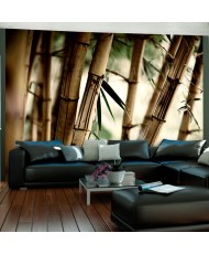 Fototapetai - Rūkas ir bambukų miškas