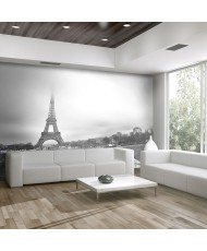 Fototapetai - Paryžius, Eifelio bokštas