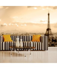 Fototapetai - Paryžius, panorama