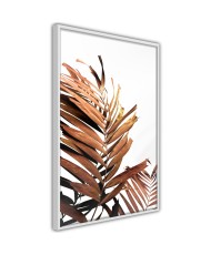 Plakatas - Copper Palm