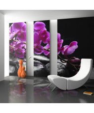 Fototapetai - Atpalaiduojančios akimirkos, orchidėja ir akmenys